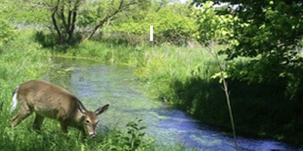 Cool Spring Nature Preserve