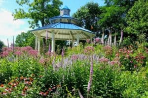 “Design Considerations – Functionality of Plants in a Garden”