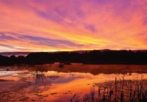 Sunset at Stauffer's Marsh by Will Herschberger
