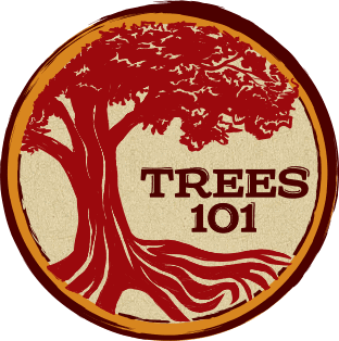 Trees 101