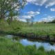 Volunteer Workday at Cool Spring Preserve