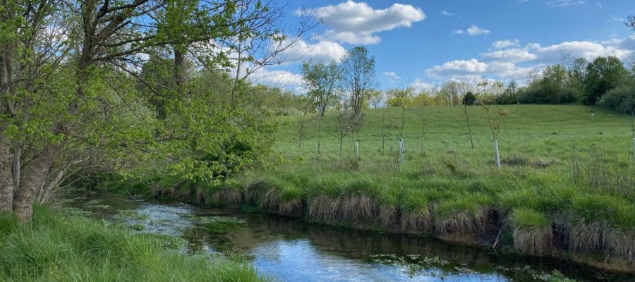 Land Donation Expands Cool Spring Preserve