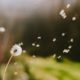 Youth Photography & Poetry Contest