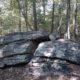 Nature Journaling Gathering at the Blue Ridge Center for Environmental Stewardship