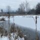 Wellness Walk at Cool Spring Preserve