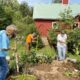 Volunteer Workday – Garden Weeding at Cool Spring Preserve