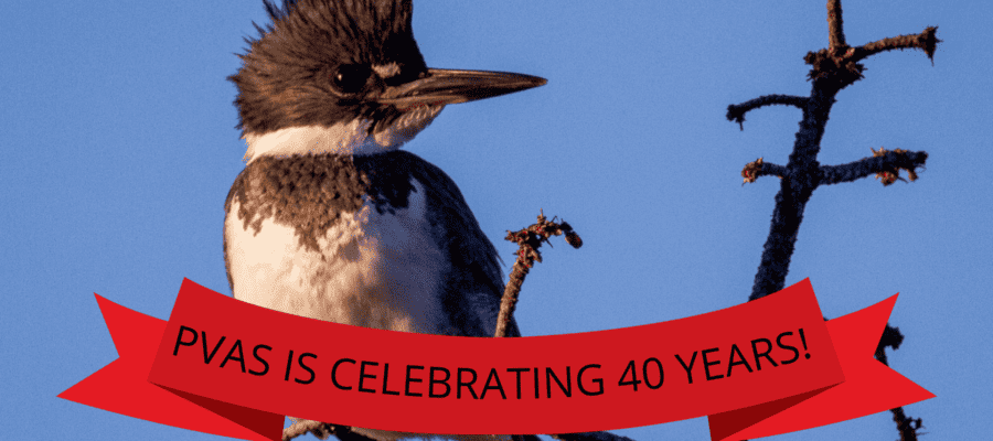 PVAS celebrates 40 years!