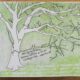 Summer Nature Journaling Gathering at Cool Spring Nature Preserve
