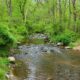 Wellness Walk at Blue Ridge Center for Environmental Stewardship