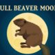 Beaver Moon Hike at Cool Spring Preserve