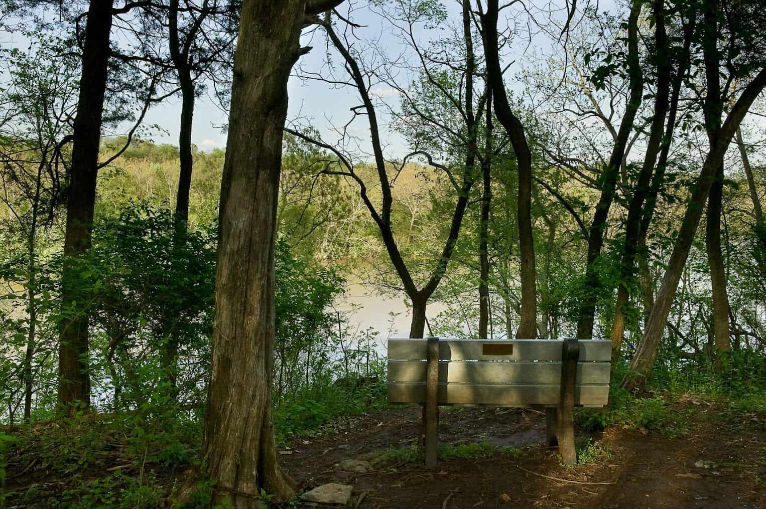 Yankauer Preserve Bench