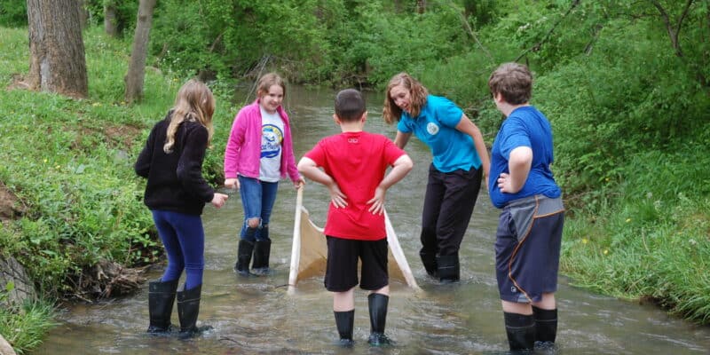 An adult is standing in a creek with four children. They all have rubber boots on and are holding a net in the water.