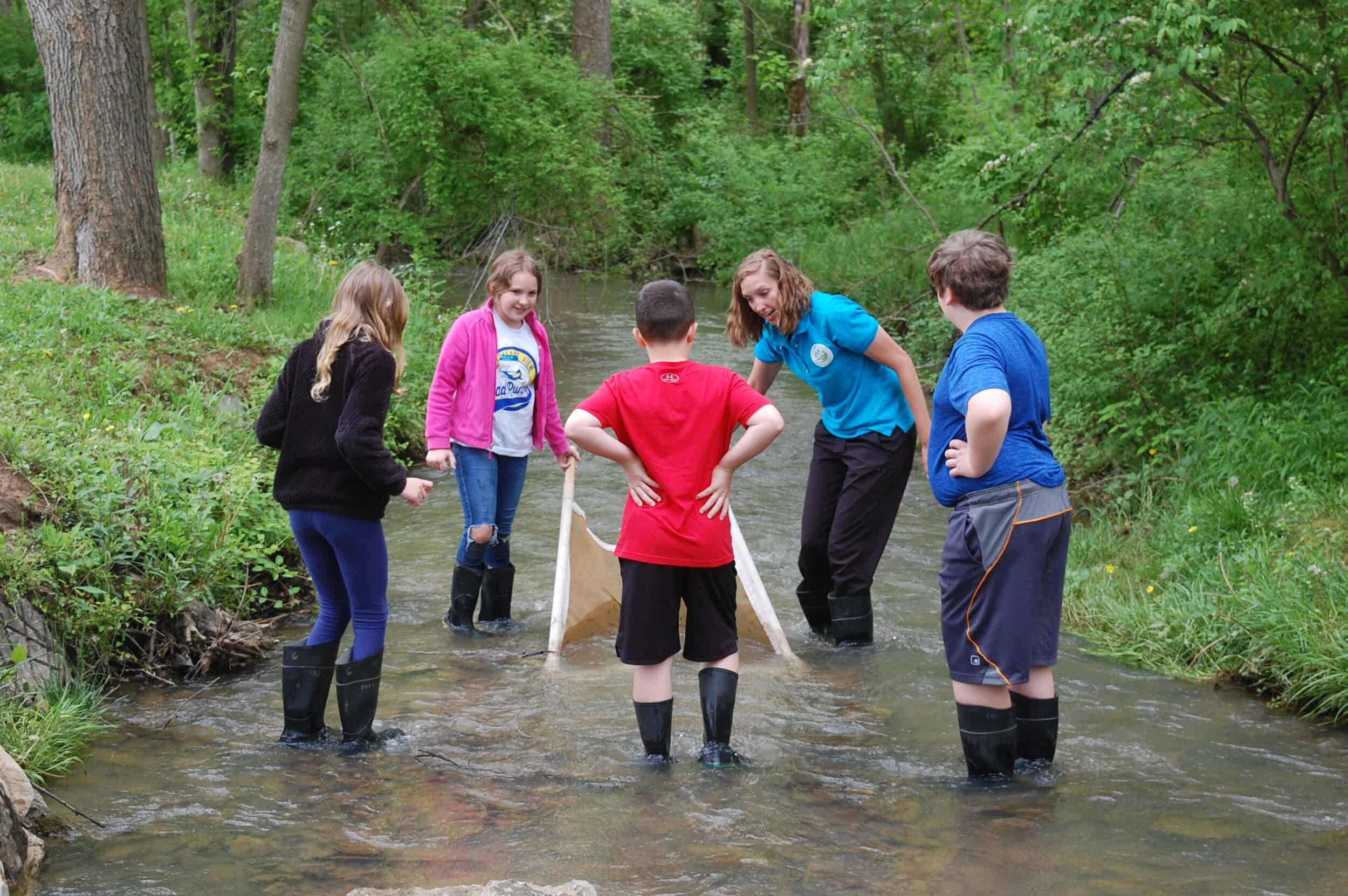An adult is standing in a creek with four children. They all have rubber boots on and are holding a net in the water.