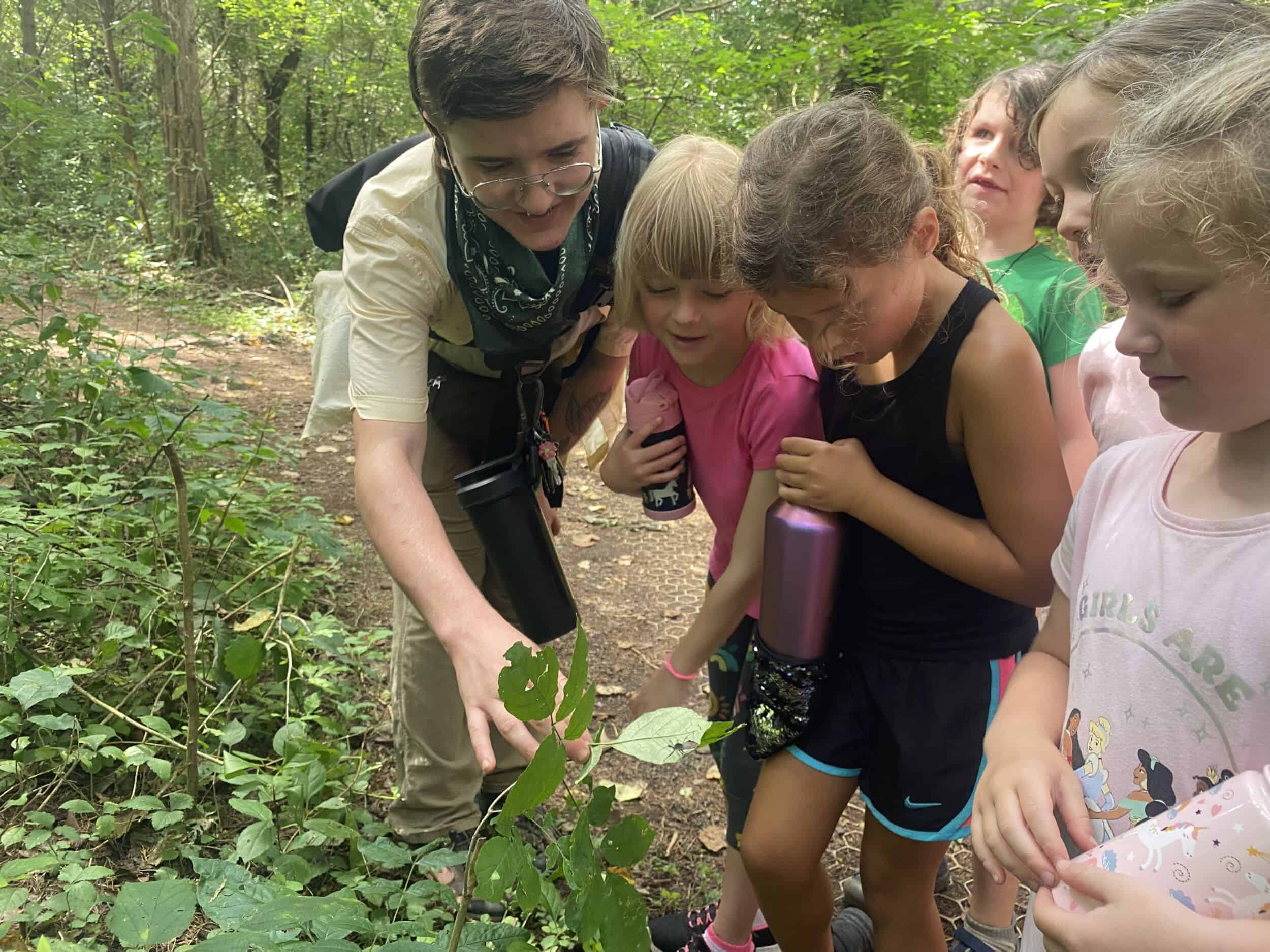 An adult is pointing out a spider on a leaf to 5 children who are leaning over to look at it. The forest behind them is green and they are in warm weather clothes, indicating that it is summer.