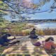 RESCHEDULED | Spring Nature Journaling at Stauffer’s Marsh