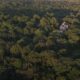 PVAS Monthly Program: Forest Stewardship Management Plans: How they can support healthy forests
