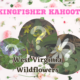 RESCHEDULED | Kingfisher Kahoot Virtual Trivia Night | Wildflowers