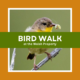 Bird Walk at the Walsh Property (near Charles Town)