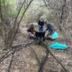 Volunteer Workday: Make it Shine at Cool Spring Preserve