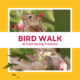 Bird Walk at Cool Spring Preserve