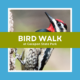 Evening Bird Walk at Cacapon State Park