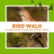 USGS Eastern Ecological Science Center Bird Walk