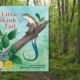 StoryWalk® at Yankauer Nature Preserve