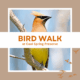 Bird Walk at Cool Spring Preserve