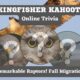 Kingfisher Kahoot Virtual Trivia Night | Remarkable Raptors! Fall Migration
