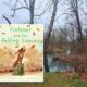 StoryWalk® at Cool Spring Preserve