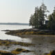 PVAS Monthly Program: Nature’s Classroom: The Legacy of Hog Island