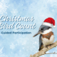 Charles Town Christmas Bird Count: Guided Participation