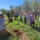 Volunteer Workday: Celebrate Earth Day Tree Planting